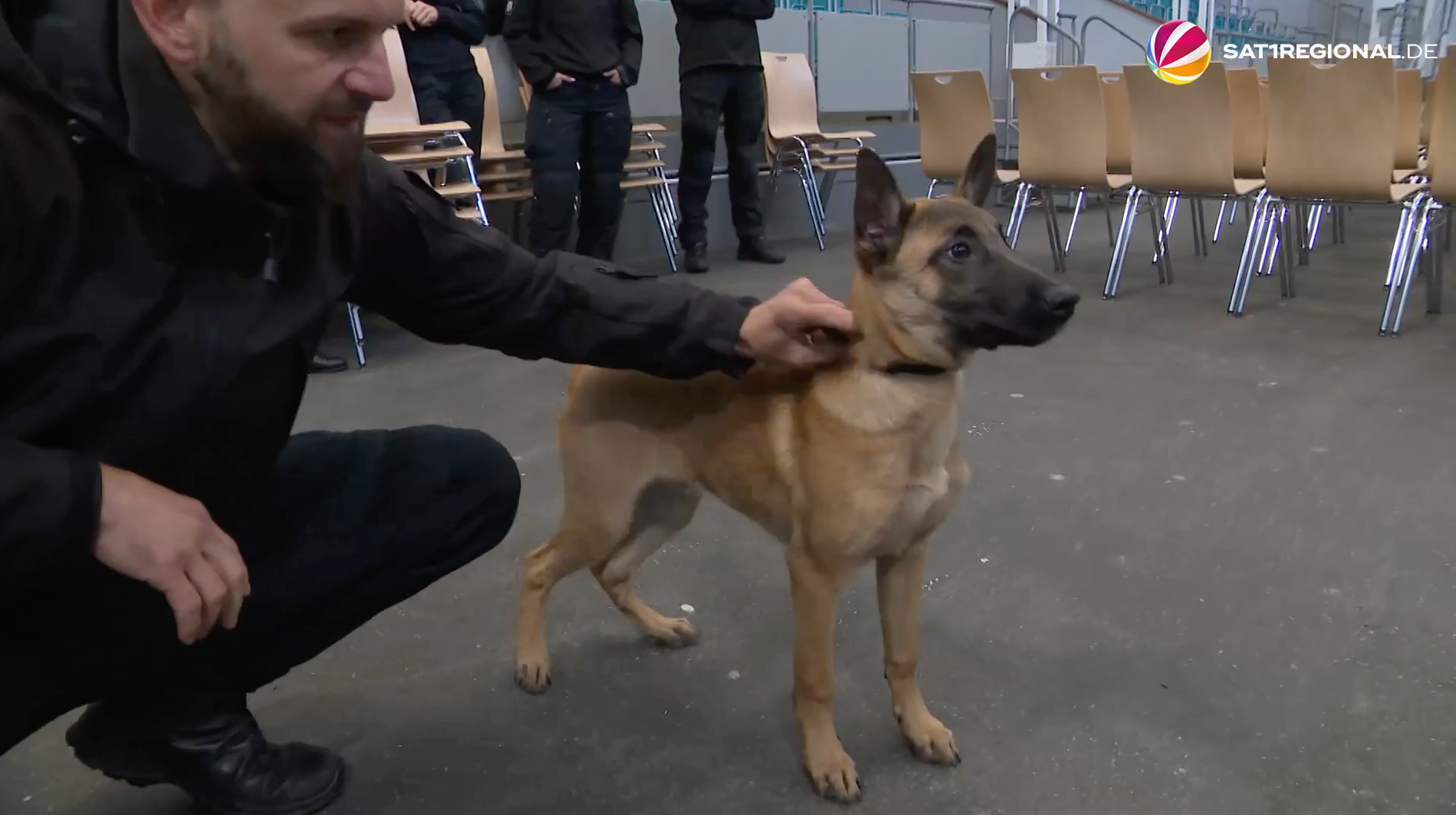 Video: Polizeihunde: So werden Welpen in Neumünster ausgebildet