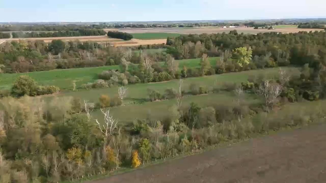Video: Puma-Suche bei Oberding: Was ist bisher bekannt?