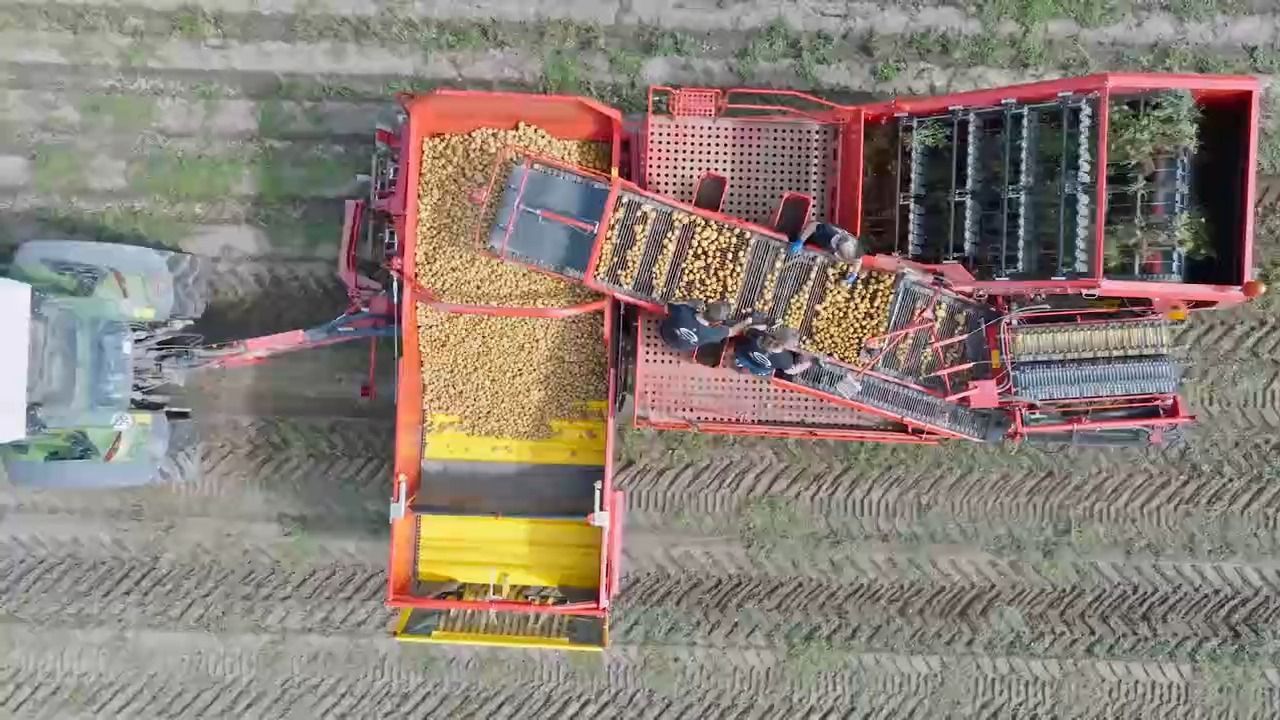 Video: Schlechte Kartoffelernte in Bayern: Ein Drittel weniger als im Vorjahr