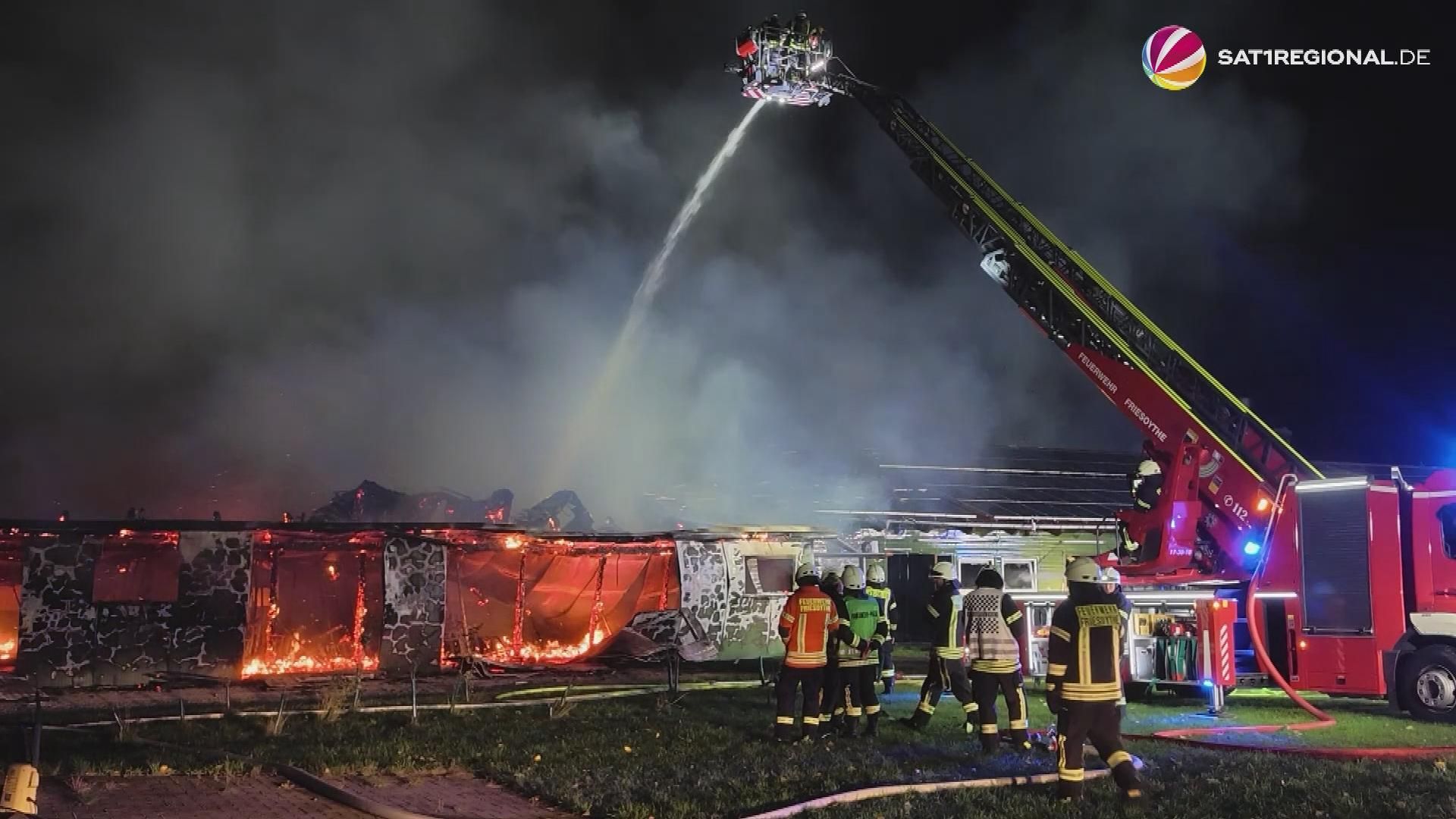 Video: Stall in Friesoythe fängt Feuer – Mehr als 200 Schweine tot