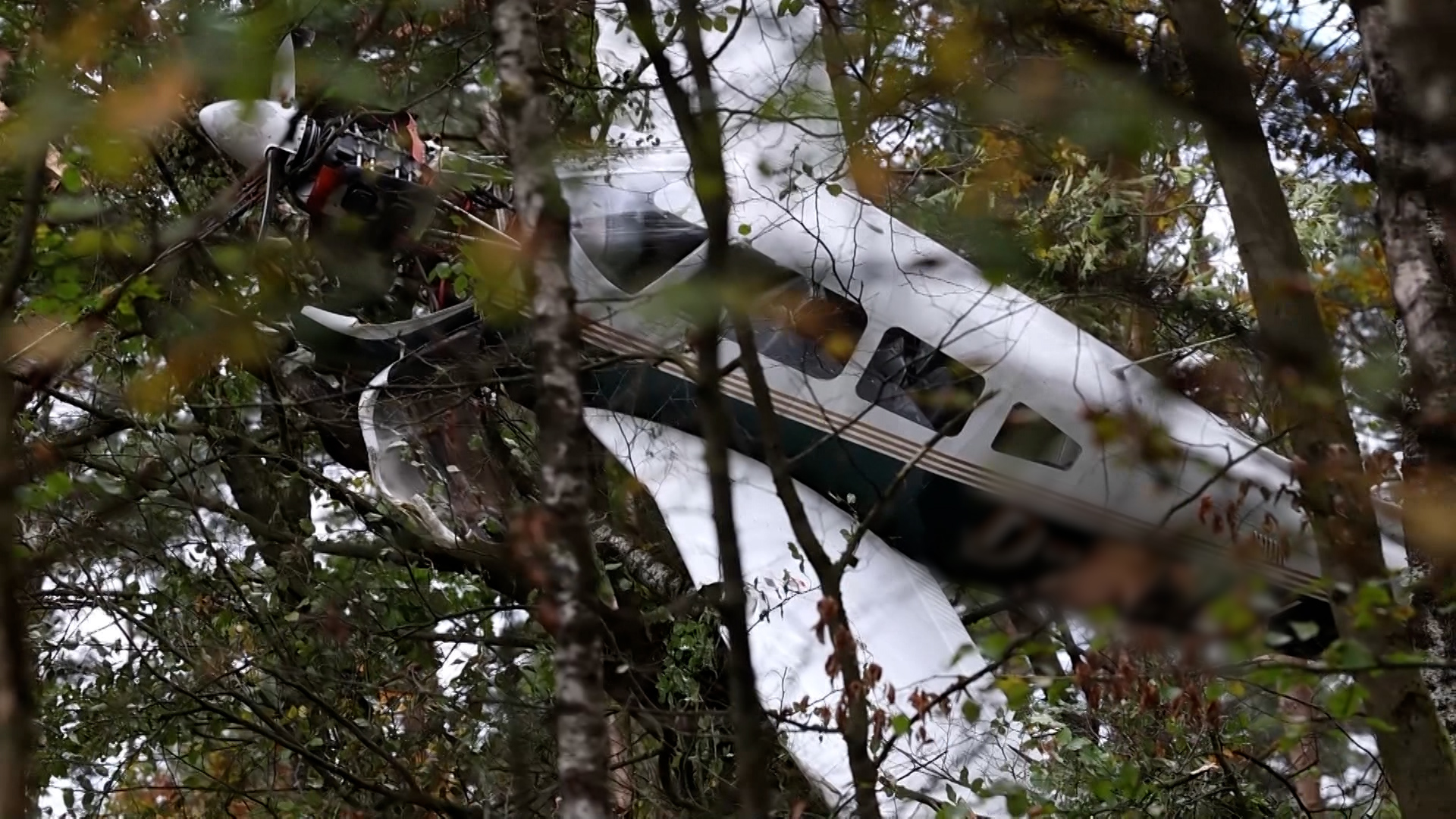Video: Kleinflugzeug stürzt in Baumkrone ab