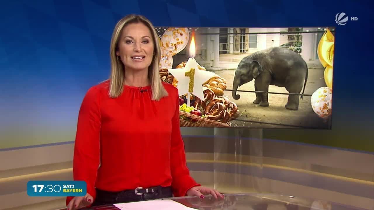 Herzlichen Glückwunsch! Elefantenbaby Otto hat Geburtstag
