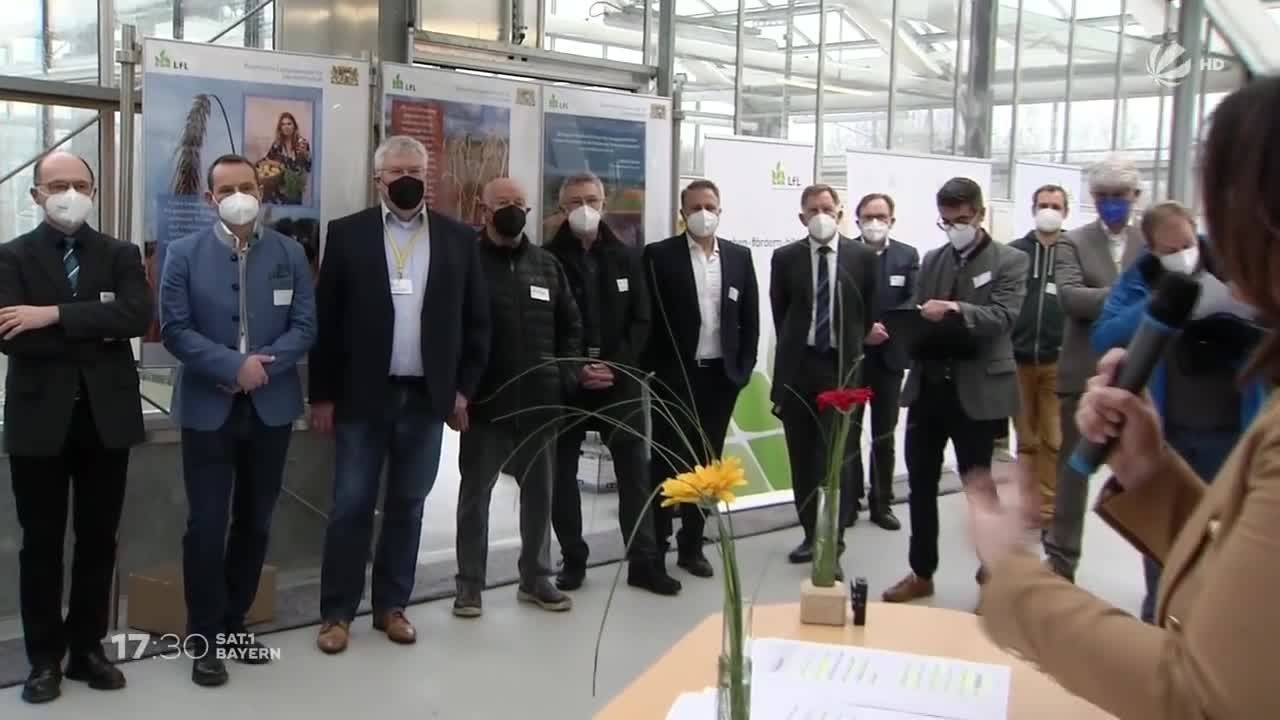 Öko-Landbau in Bayern: Neues Forum zur Pflanzenzüchtung