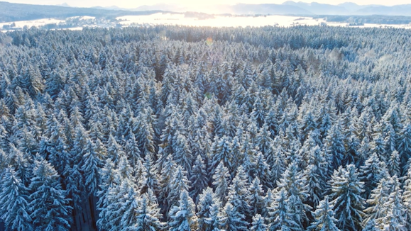 Hier gibt es 30 Zentimeter Neuschnee
