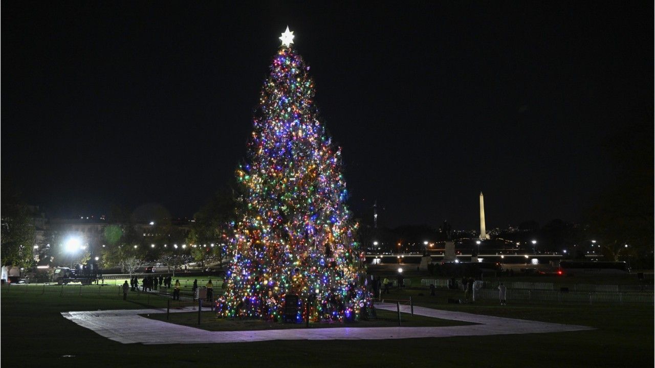 Wenige Meter vom Weißen Haus entfernt: Nationaler Weihnachtsbaum fällt um