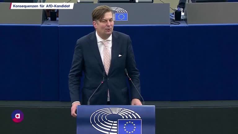 Konsequenzen für AfD-EU-Kandidaten