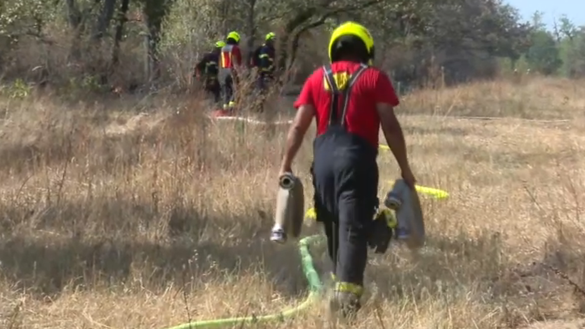 Waldbrand in Gänserndorf: Gefahr bleibt