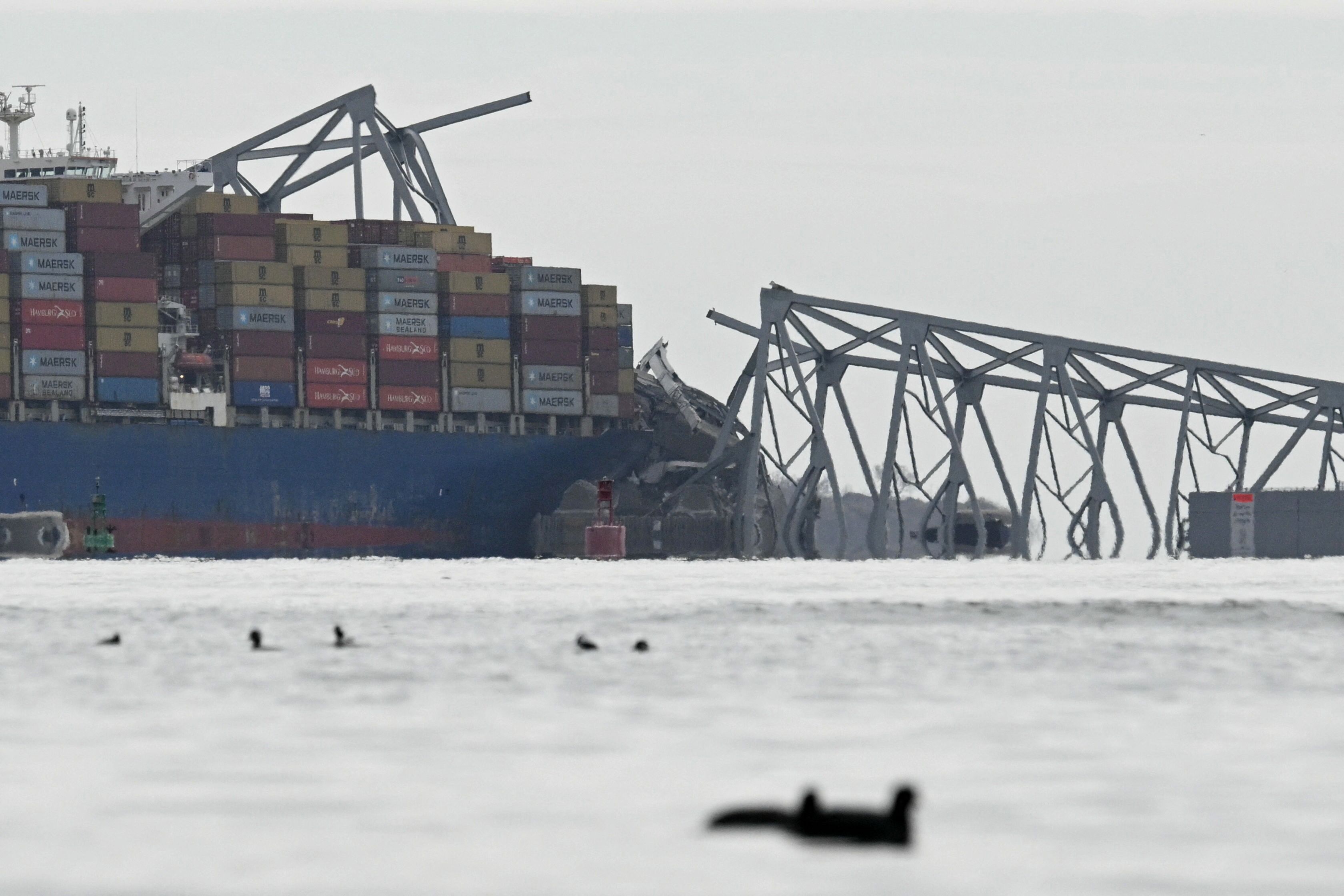 Tragödie in Baltimore: Brücke stürzt ein