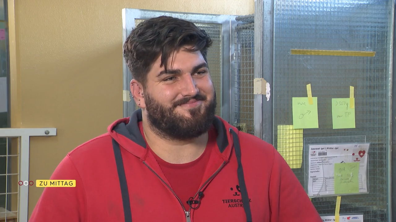 Video: Österreichs Wildtiere in Not