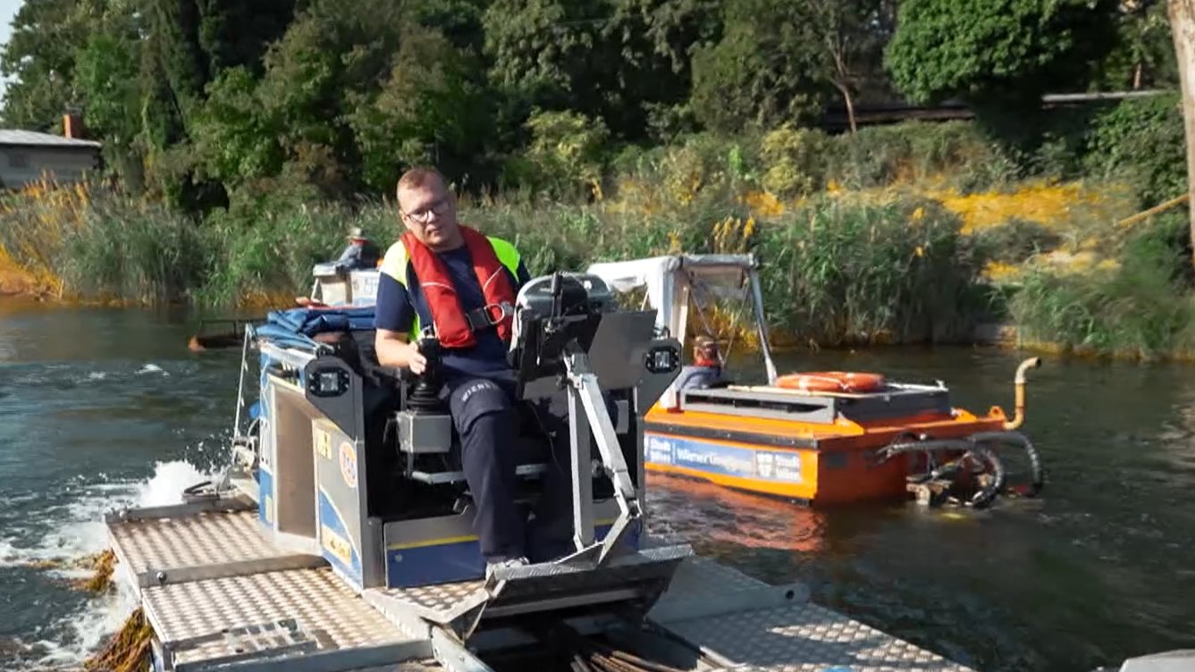Video: Kampf dem Wasserdschungel