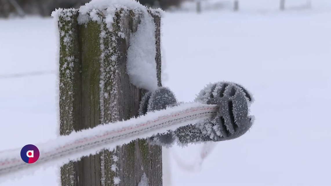 Video: Kältewelle erreicht Höhepunkt: Gefährliches Winterwetter